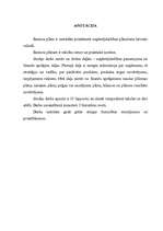 Biznesa plāns 'SIA „Pie Jūlijas”', 1.