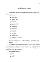 Biznesa plāns 'SIA „Pie Jūlijas”', 8.