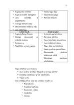 Biznesa plāns 'SIA „Pie Jūlijas”', 11.