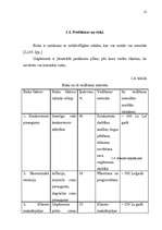 Biznesa plāns 'SIA „Pie Jūlijas”', 12.