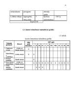 Biznesa plāns 'SIA „Pie Jūlijas”', 13.