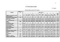 Biznesa plāns 'SIA „Pie Jūlijas”', 15.