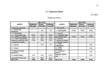 Biznesa plāns 'SIA „Pie Jūlijas”', 20.