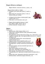 Konspekts 'Elpošanas sistēmas uzbūve', 2.