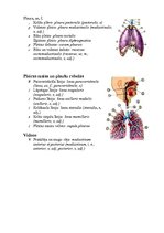 Konspekts 'Elpošanas sistēmas uzbūve', 4.