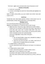 Konspekts 'Ētika un estētika', 6.