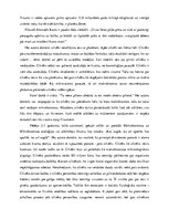 Eseja 'Cilvēks - mikro/makrokosmos (Cilvēka būtība)', 2.