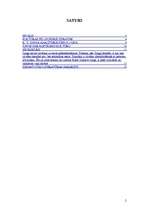 Referāts 'Kultūras rašanās skaidrojums K.G.Junga darbos', 2.