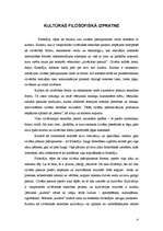 Referāts 'Kultūras rašanās skaidrojums K.G.Junga darbos', 4.