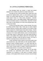 Referāts 'Kultūras rašanās skaidrojums K.G.Junga darbos', 6.
