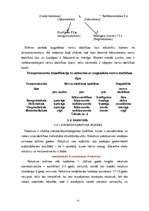 Referāts 'Personības attīstība un socializācijas process', 22.