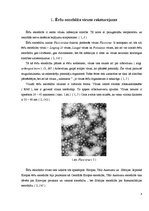 Referāts 'Ērču encefalīts', 4.