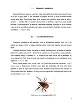 Referāts 'Ērču encefalīts', 6.