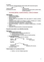 Konspekts 'Politoloģija', 2.