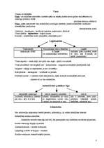 Konspekts 'Politoloģija', 8.