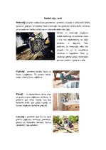 Konspekts 'Zāģēšana', 6.