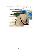 Referāts 'Ekosistēma ir dinamiska', 6.