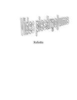 Referāts 'Vides piesārņojums', 5.