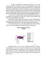 Referāts 'Sabiedrības sociālās integrācijas procesi Ludzas rajonā', 12.