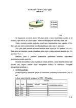 Referāts 'Sabiedrības sociālās integrācijas procesi Ludzas rajonā', 17.