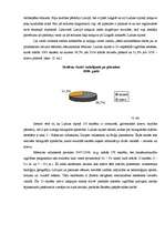 Referāts 'Sabiedrības sociālās integrācijas procesi Ludzas rajonā', 22.