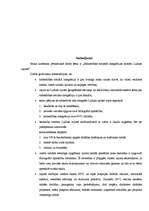 Referāts 'Sabiedrības sociālās integrācijas procesi Ludzas rajonā', 30.