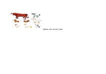 Prezentācija 'Bērna runas attīstības un valodas apguves izvērtējums divu līdz septiņu gadu vec', 33.