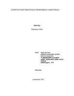 Konspekts 'Intervija ar SIA darbinieku', 1.