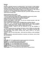 Konspekts 'Glezniecības virzieni - no renesanses līdz klasicismam', 1.