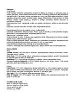 Konspekts 'Glezniecības virzieni - no renesanses līdz klasicismam', 4.