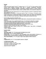 Konspekts 'Glezniecības virzieni - no renesanses līdz klasicismam', 6.