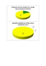 Konspekts 'Tirgzinību pētījums. Cukura ražošana', 5.