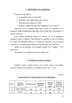 Referāts 'Konditorejas tehnoloģiskais projekts', 12.