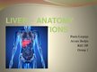 Prezentācija 'Liver - Anatomy and Functions', 1.