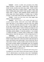 Referāts 'Daces Rukšānes publikāciju analīze', 23.