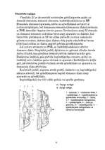 Konspekts 'Sajūgi', 6.