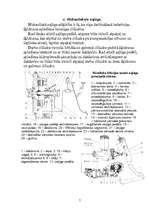 Konspekts 'Sajūgi', 7.