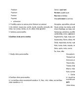 Konspekts 'Desmit latviešu valodas pareizrakstības likumi', 2.