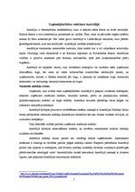 Referāts 'Starptautiskas holdinga kompānijas modeļa struktūras izstrāde', 5.