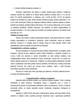 Referāts 'Starptautiskas holdinga kompānijas modeļa struktūras izstrāde', 7.