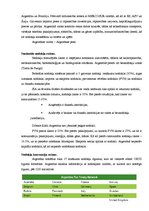 Referāts 'Starptautiskas holdinga kompānijas modeļa struktūras izstrāde', 8.