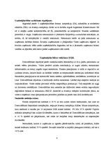 Referāts 'Starptautiskas holdinga kompānijas modeļa struktūras izstrāde', 9.