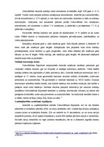 Referāts 'Starptautiskas holdinga kompānijas modeļa struktūras izstrāde', 10.