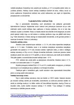 Referāts 'Starptautiskas holdinga kompānijas modeļa struktūras izstrāde', 12.