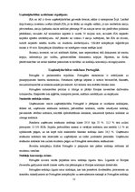 Referāts 'Starptautiskas holdinga kompānijas modeļa struktūras izstrāde', 13.