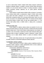 Referāts 'Starptautiskas holdinga kompānijas modeļa struktūras izstrāde', 17.