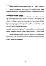 Referāts 'Starptautiskas holdinga kompānijas modeļa struktūras izstrāde', 19.