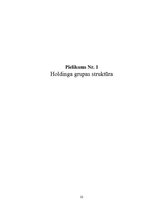 Referāts 'Starptautiskas holdinga kompānijas modeļa struktūras izstrāde', 22.