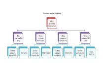 Referāts 'Starptautiskas holdinga kompānijas modeļa struktūras izstrāde', 23.