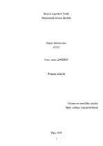 Prakses atskaite 'Viesu nams "Sprīdīši"', 1.